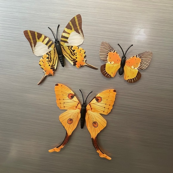 butterfly magnets set of 3